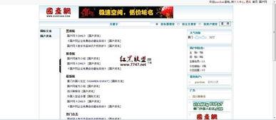 国产v网站,探索中国网络文化新篇章